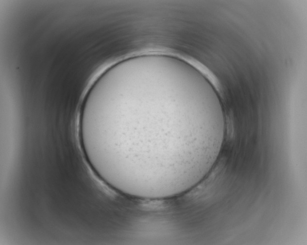 X0000111371006200907311029