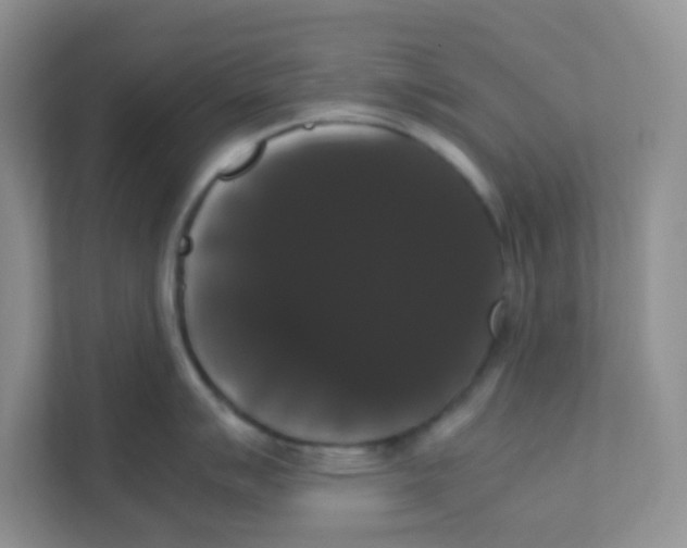 X0000111371007200907311029