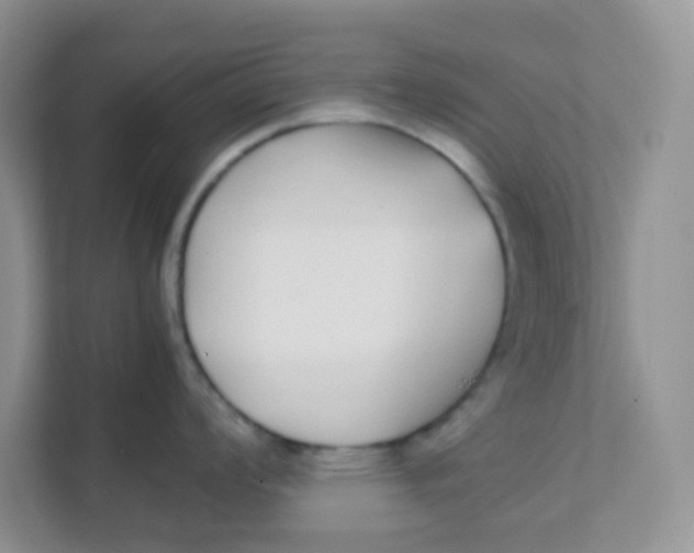 X0000111371008200907311029