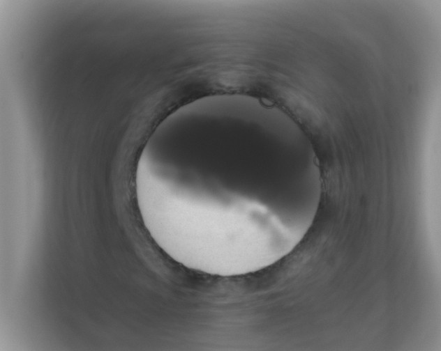 X0000111371009200907311028