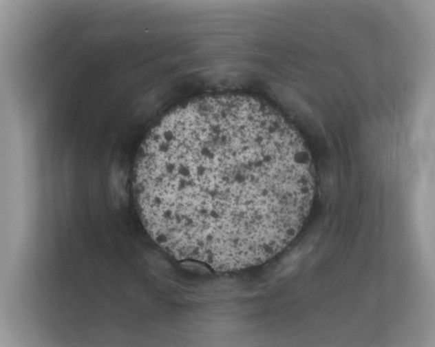 X0000111371010200907311028