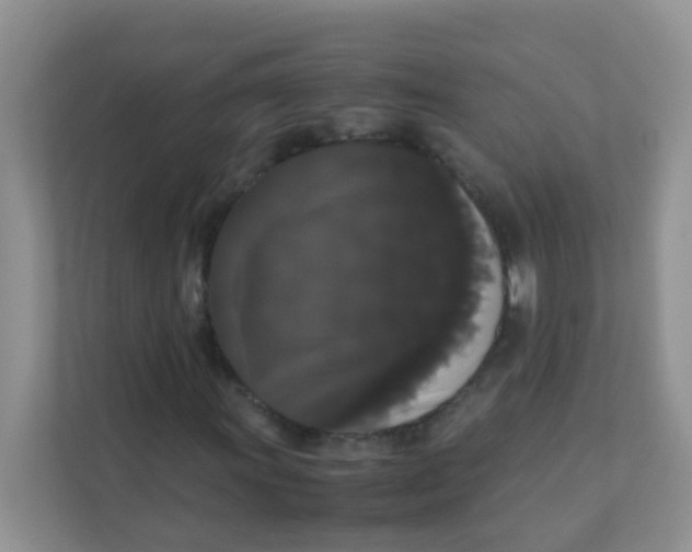 X0000111371011200907311028