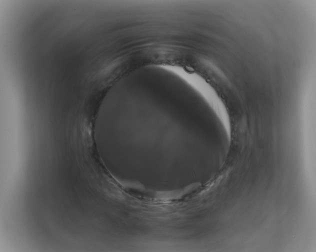 X0000111371013200907311029