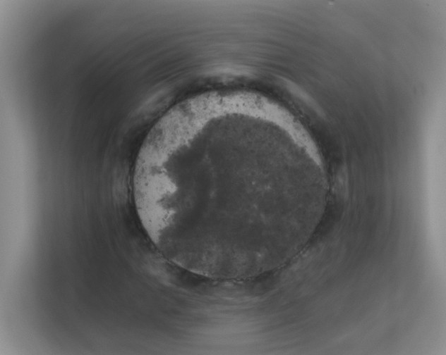 X0000111371014200907311029