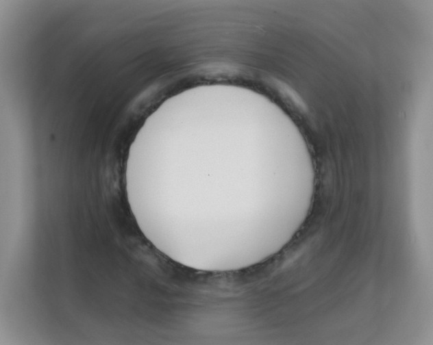 X0000111371016200907311029