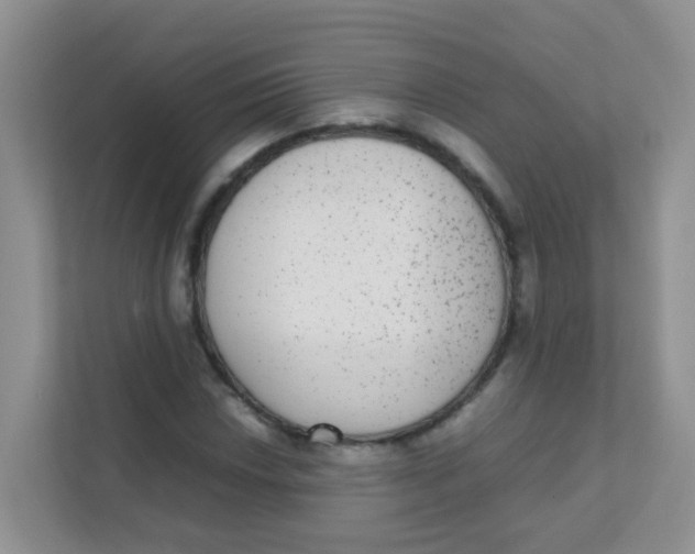 X0000111371018200907311029