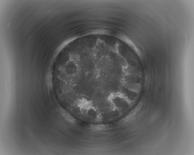 X0000111371019200907311029