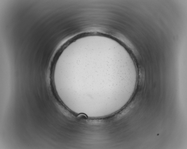 X0000111371020200907311029