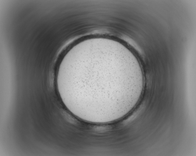 X0000111371021200907311029