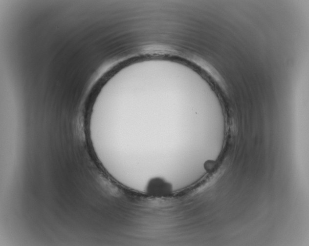 X0000111371022200907311029