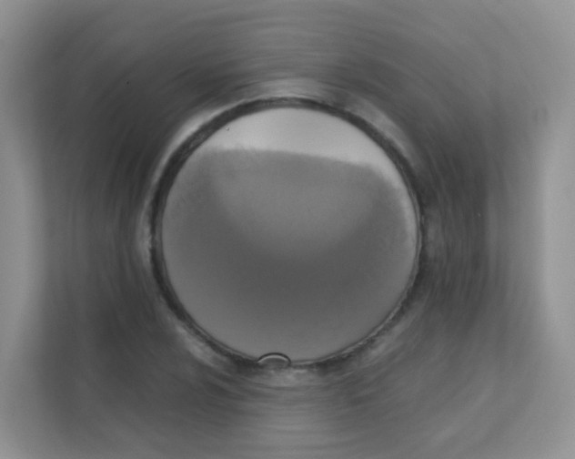 X0000111371024200907311029