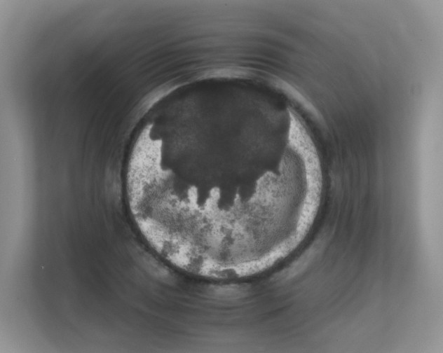 X0000111371025200907311029