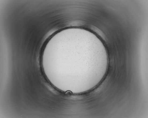 X0000111371026200907311029