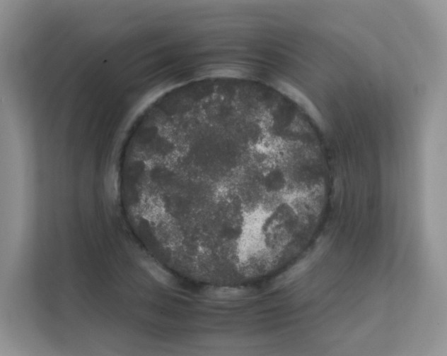 X0000111371027200907311029