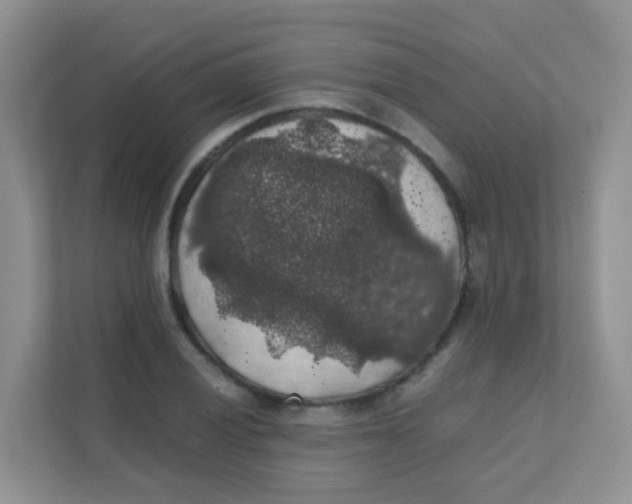 X0000111371028200907311029