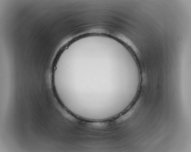 X0000111371029200907311029