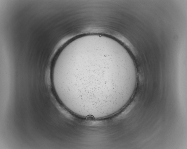 X0000111371030200907311029