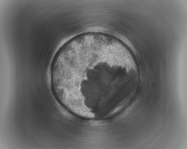 X0000111371032200907311029