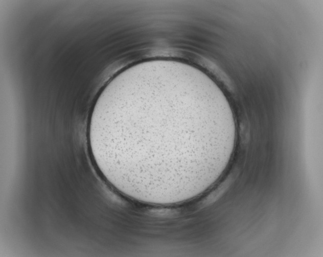 X0000111371033200907311029