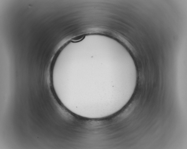 X0000111371034200907311029