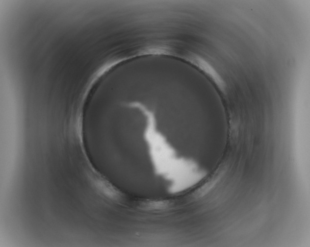 X0000111371035200907311029