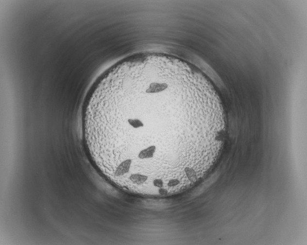 X0000111371036200907311029