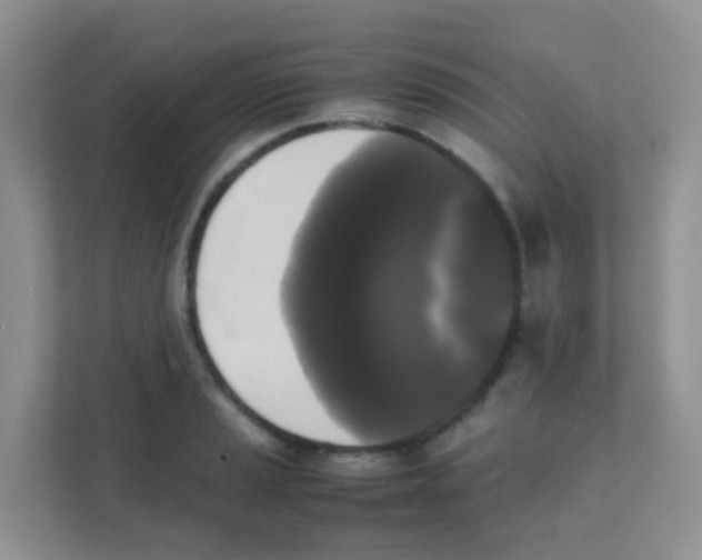 X0000111371037200907311029