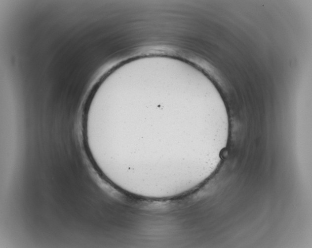 X0000111371038200907311029