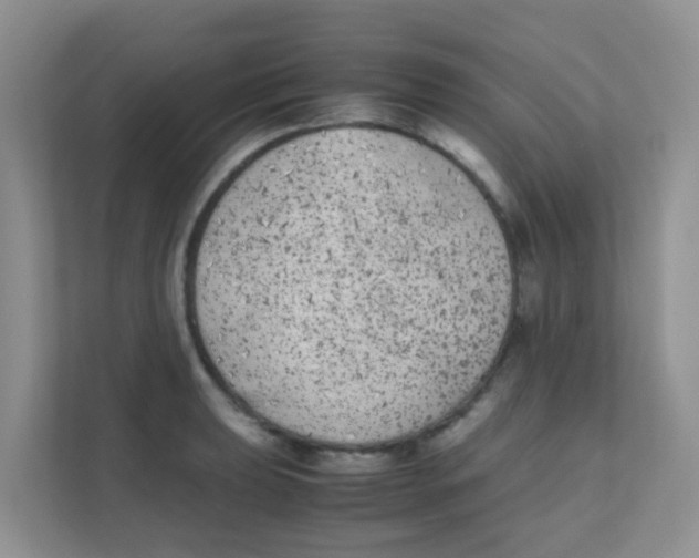 X0000111371039200907311029