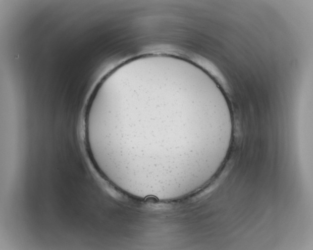 X0000111371040200907311029