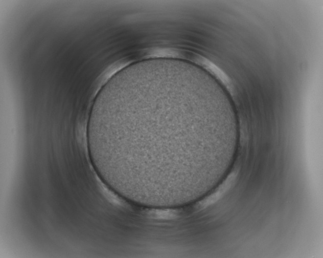 X0000111371041200907311029