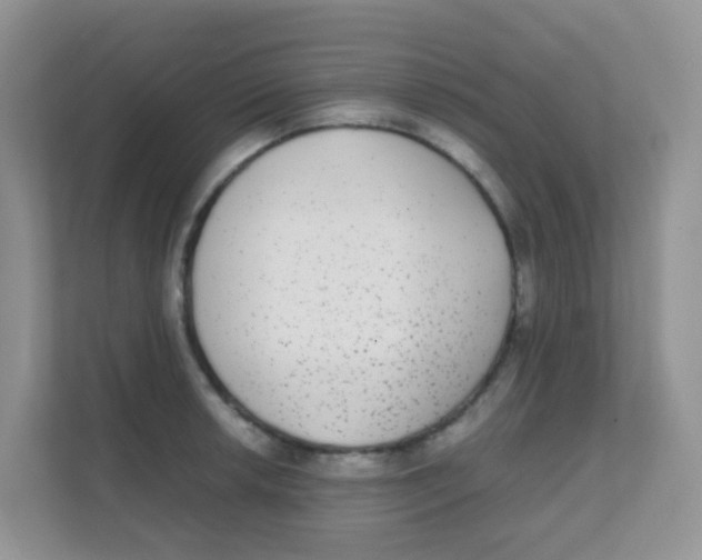 X0000111371042200907311029