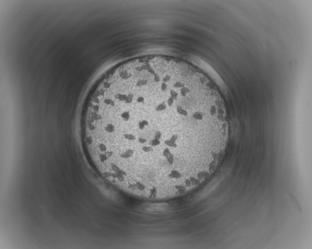 X0000111371043200907311029