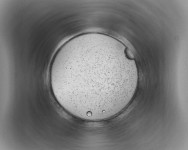 X0000111371044200907311029