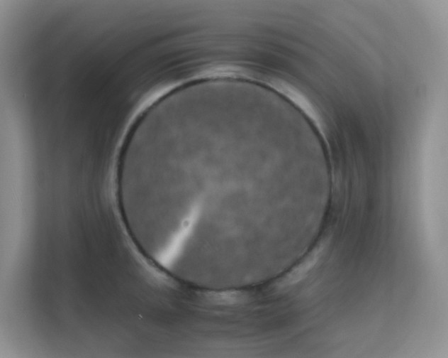 X0000111371045200907311029