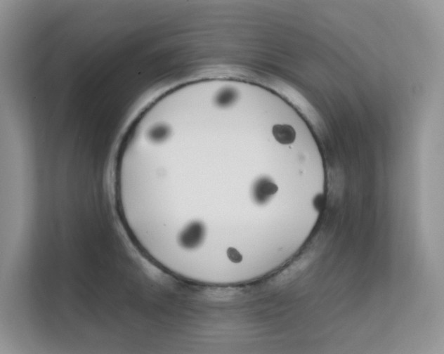 X0000111371046200907311029