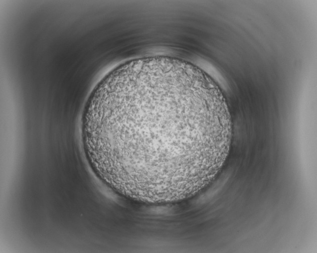 X0000111371047200907311029