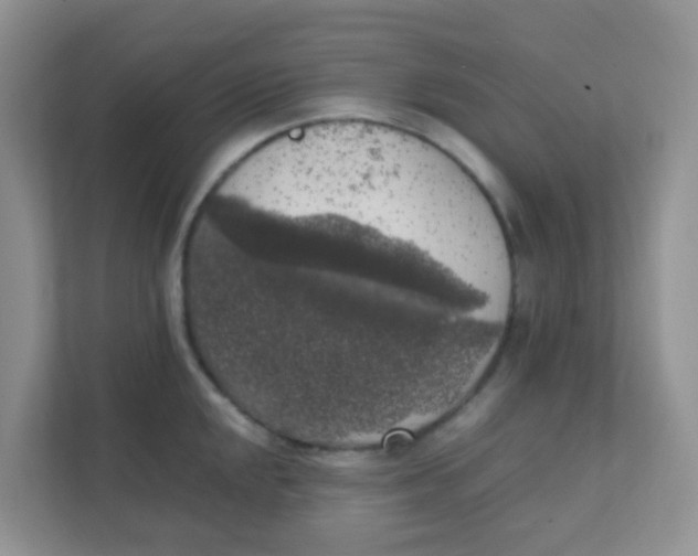 X0000111371048200907311029