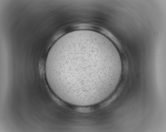 X0000111371049200907311029