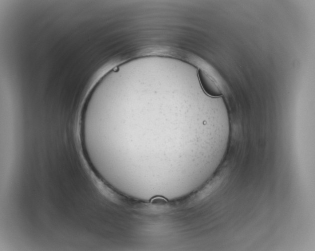 X0000111371050200907311029