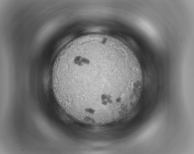 X0000111371052200907311029