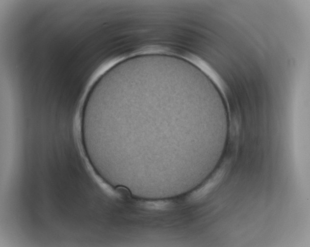 X0000111371053200907311029