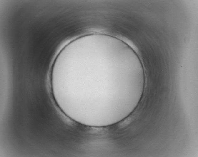 X0000111371056200907311029