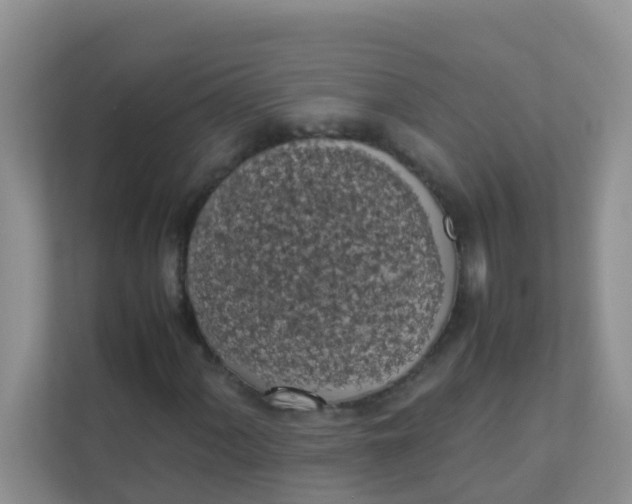 X0000111371060200907311028