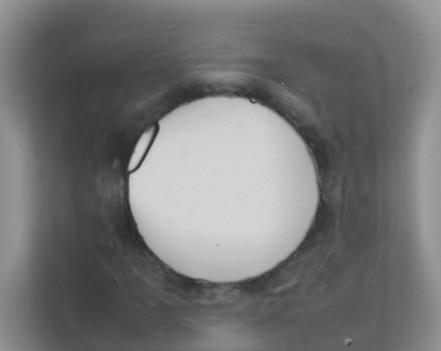 X0000111371061200907311028