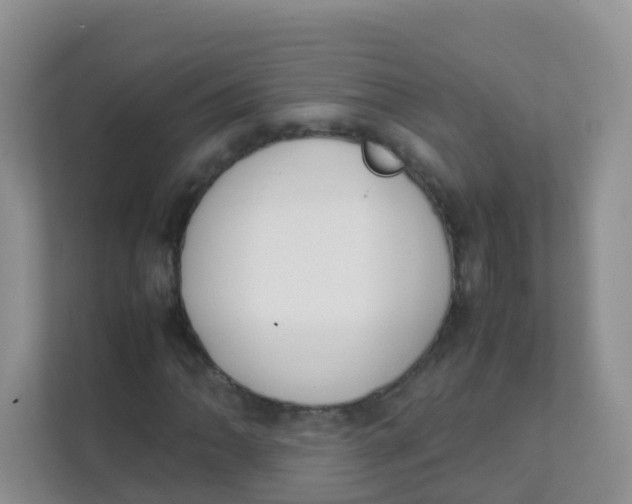 X0000111371062200907311028