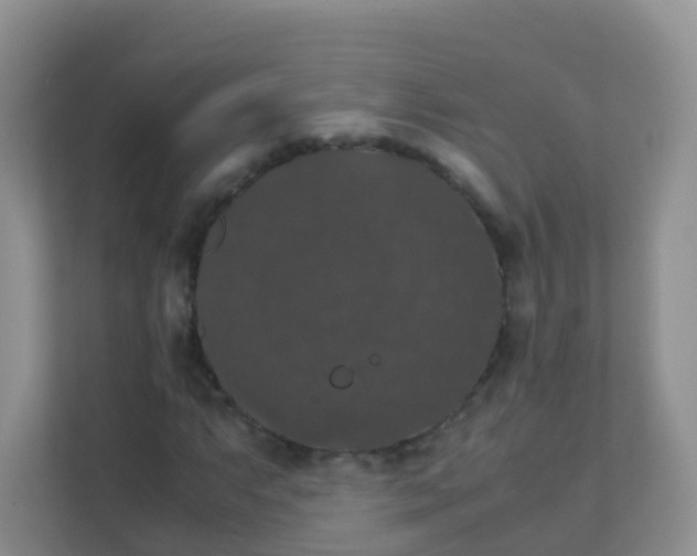 X0000111371063200907311028