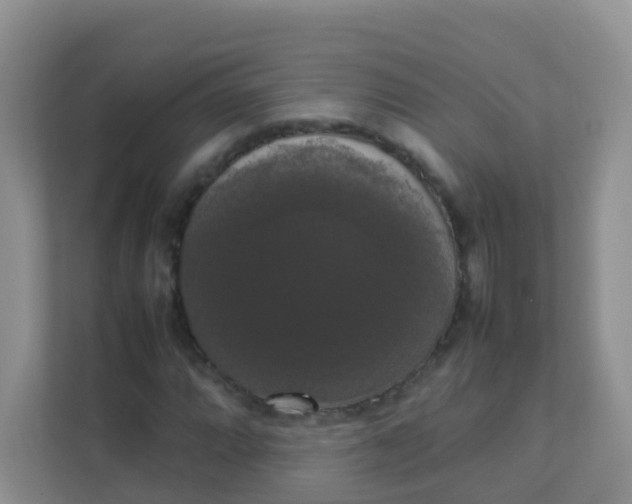 X0000111371064200907311028