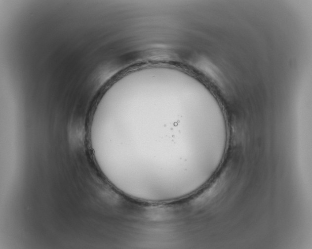 X0000111371065200907311028