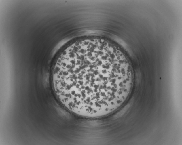 X0000111371066200907311028